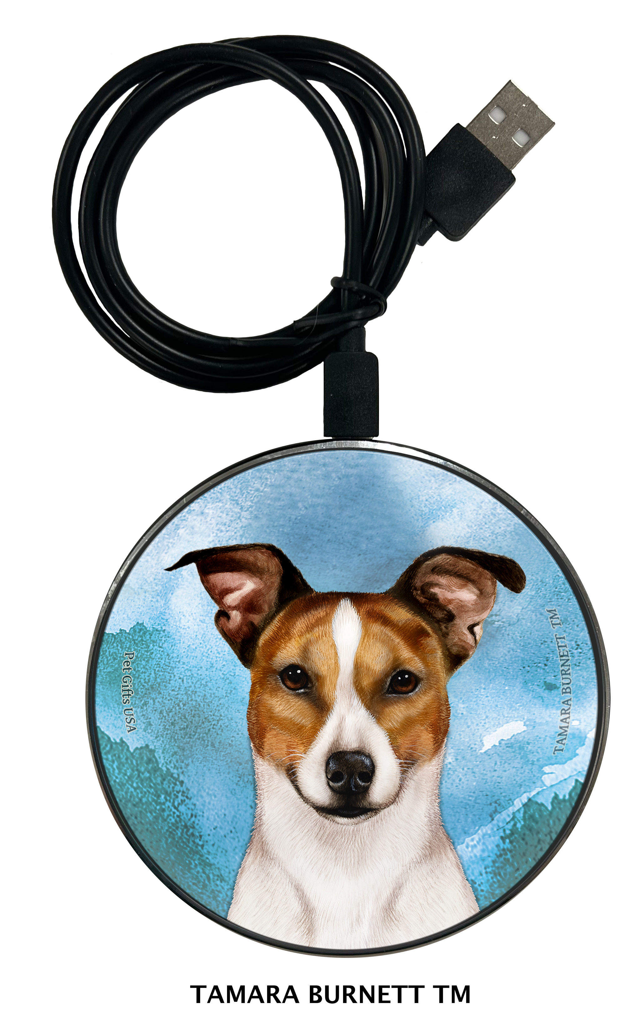 Zoomies Chargers sample image